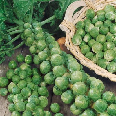 Капуста брюссельская Орешки 12шт