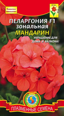 Пеларгония Герань Мандарин 3шт