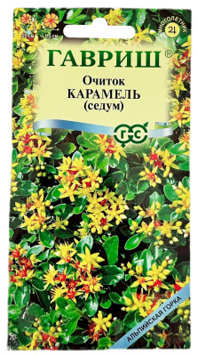 Очиток седум КАРАМЕЛЬ ГАВРИШ
