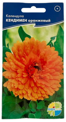 Календула ноготки КЕНДИМЕН оранжевый АКВАРЕЛЬ