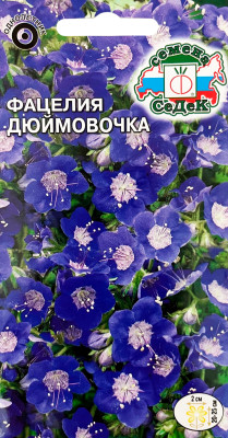 Фацелия колокольчиковая Дюймовочка синяя