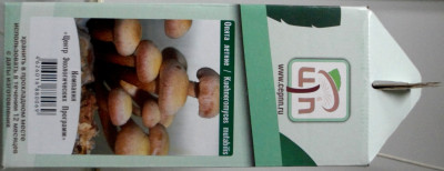 Грибы Мицелий в грибных грядках Опята летние