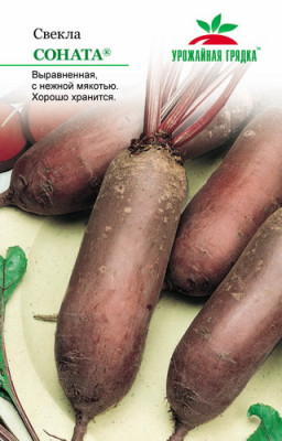 Свекла Соната УГ