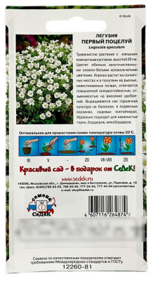 Легузия Первый поцелуй СеДеК описание