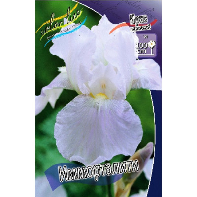 Ирис Имморталити (1шт) 356