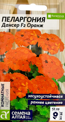 Пеларгония Дансер F2 зональная Оранж 4шт