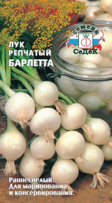 Лук репчатый Барлетта 