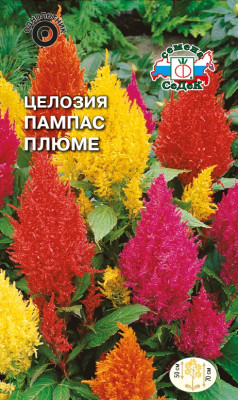 Целозия плюмоза Пампас Плюме (высокор. смесь)