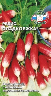 редис Сладкоежка редис Сладкоежка