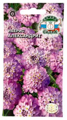 Иберис гибралтарский АЛЕКСАНДРИТ СеДеК