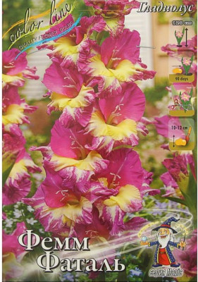 Гладиолус Фемм Фаталь (1шт) G-005