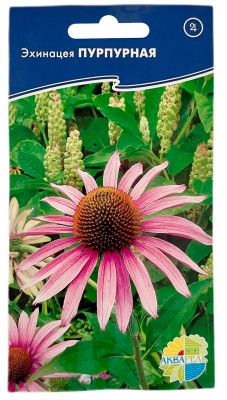 Эхинацея ПУРПУРНАЯ АКВАРЕЛЬ