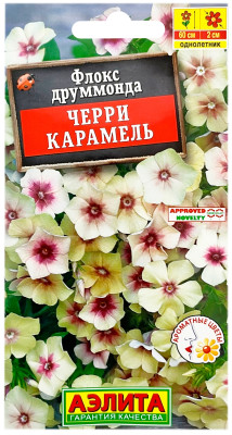 Флокс друммонда ЧЕРРИ КАРАМЕЛЬ АЭЛИТА