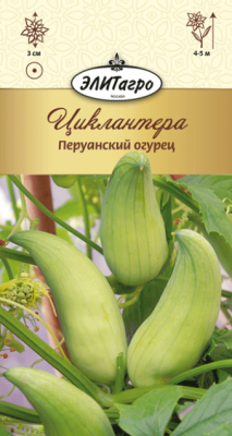 Циклантера Перуанский огурец 3шт