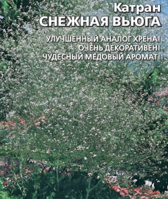 Катран Снежная вьюга