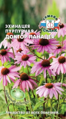 Эхинацея Доктор Панацея пурпурная пряность