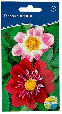 Георгина ДЕНДИ АКВАРЕЛЬ