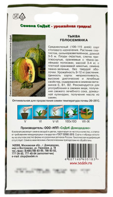Тыква ГОЛОСЕМЯНКА СеДеК описание