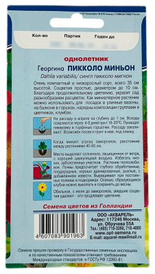 Георгина ПИККОЛО МИНЬОН АКВАРЕЛЬ описание