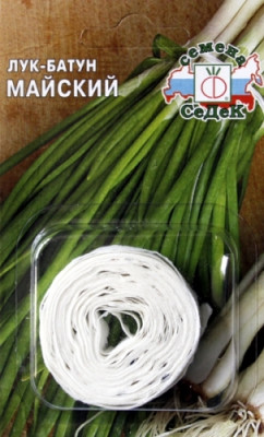 Лук батун Майский 6м (лента)