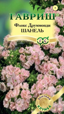 Флокс Шанель друммонда* 8шт. сер. Элитная клумба Н11