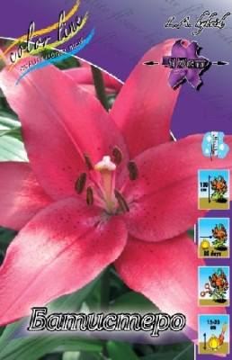 Лилия Батистеро (1шт) 3693