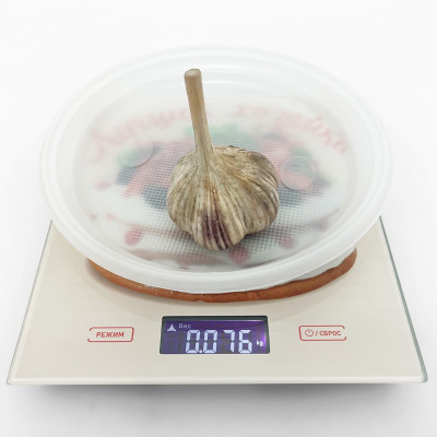 Чеснок Любовь (4)