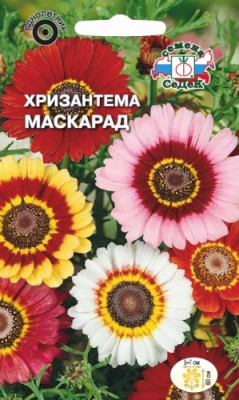 Хризантема Маскарад (корейская, смесь цветов)