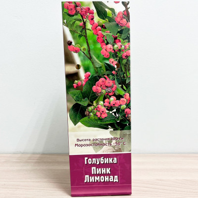 Голубика ПИНК ЛИМОНАД (2)