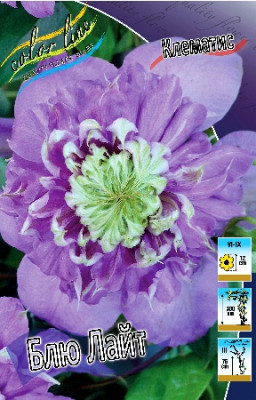 Клематис Блю Лайт (1шт) 1621