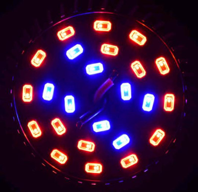 Лампа для растений Био 20W 8 синих + 16 красных 450nm 660nm E27