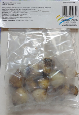 Мускари Спринг микс (8шт)