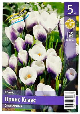 Крокус Принс Клаус ботанический