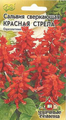 Сальвия Красная стрела* 0,1 г Уд. с. Сальвия Красная стрела* 0,1 г Уд. с.