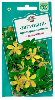 Зверобой продырявленный Солнечный ГАВРИШ