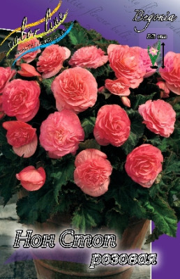 Бегония Нон Стоп Розовая (1шт) 2740