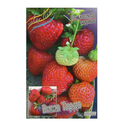 Земляника (Клубника) Вима Тарда (5 шт)