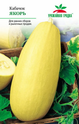 Кабачок Якорь УГ