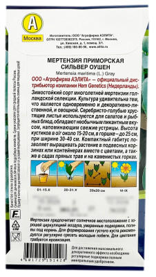 Мертензия приморская СИЛЬВЕР ОУШЕН АЭЛИТА описание