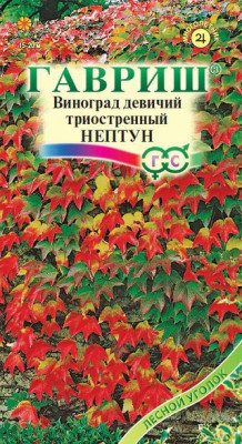 Виноград триостренный Нептун 5 шт. Н14