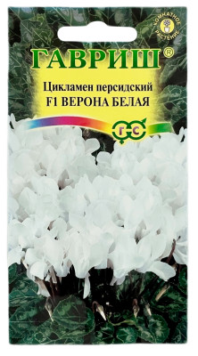 Цикламен персидский ВЕРОНА БЕЛАЯ ГАВРИШ