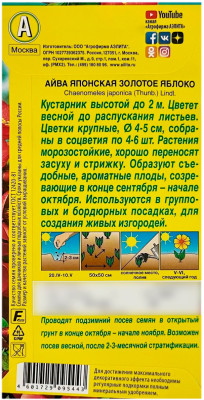 Айва японская золотое яблоко АЭЛИТА описание