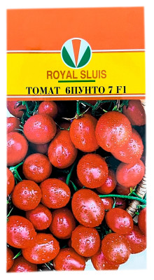 Томат 6ПУНТО 7 F1 АКВАРЕЛЬ