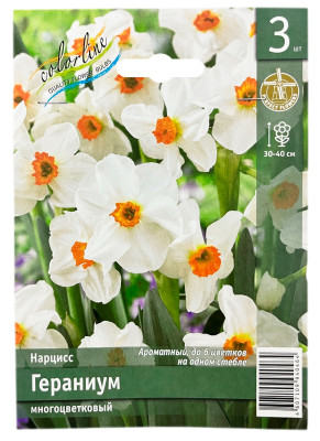 Нарцисс ГЕРАНИУМ многоцветковый
