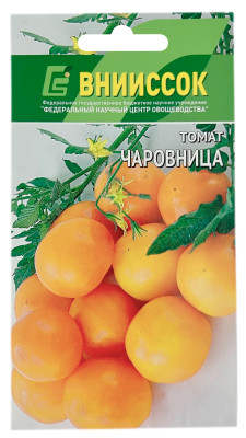 Томат ЧАРОВНИЦА ВНИИССОК