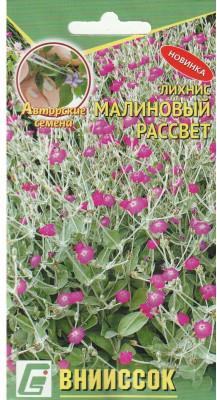 Лихнис Малиновый рассвет 0,1г