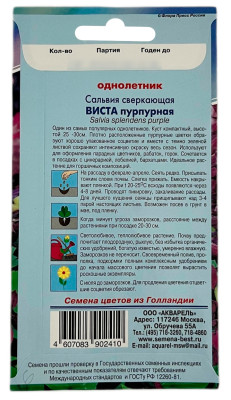 Сальвия сверкающая ВИСТА пурпурная АКВАРЕЛЬ описание