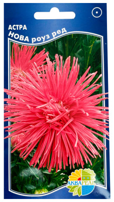 Астра Нова (роуз ред)