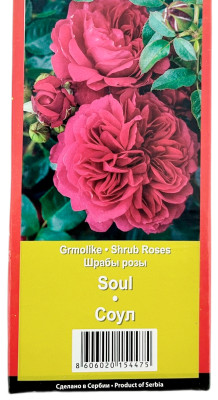 Роза шраб СОУЛ SOUL (2)