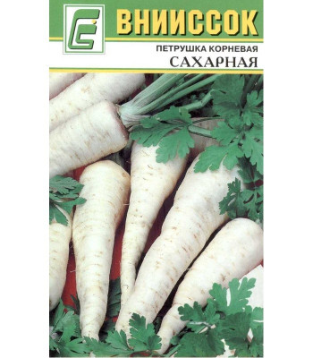 Петрушка корневая Сахарная Внииссок